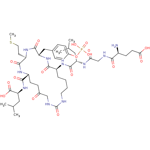 PNG