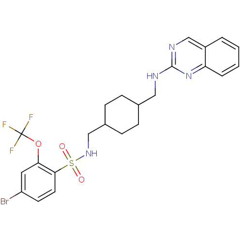 PNG