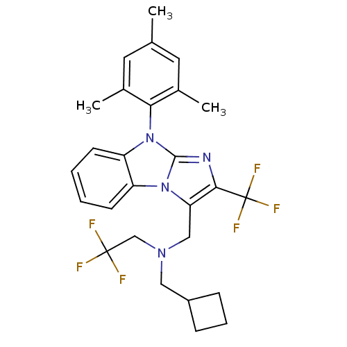 PNG