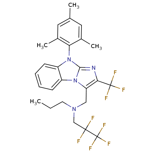 PNG