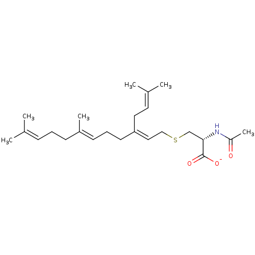 PNG