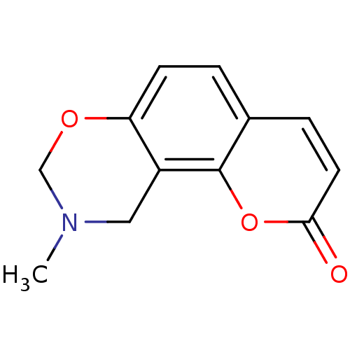 PNG
