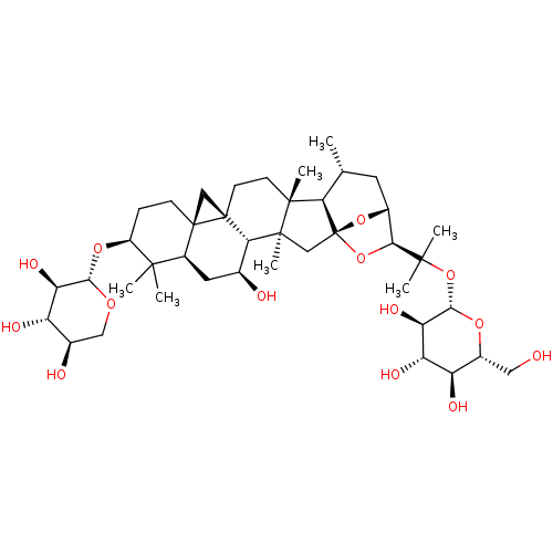 PNG