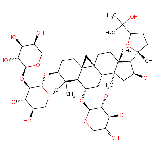 PNG