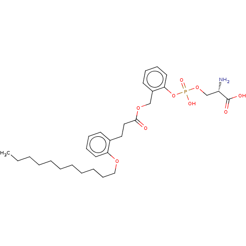 PNG