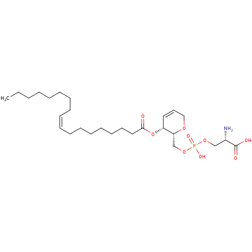 PNG