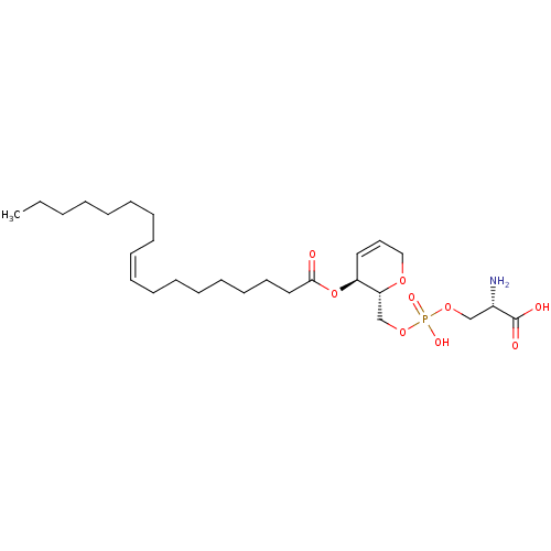 PNG