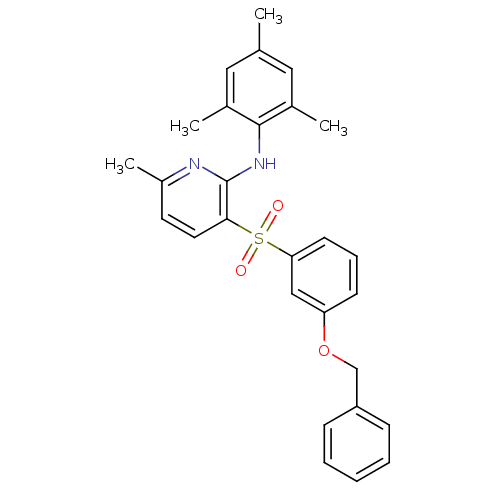 PNG