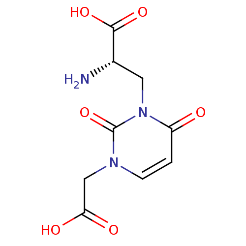 PNG
