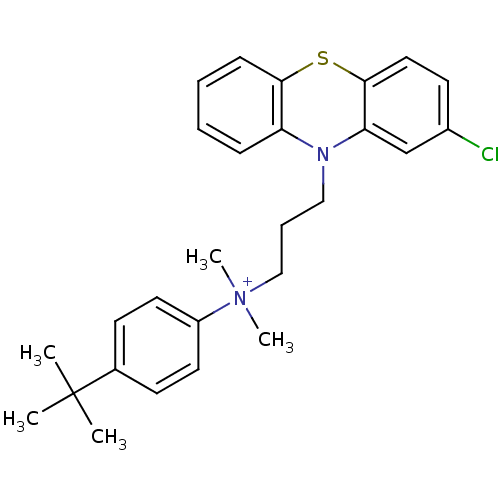 PNG