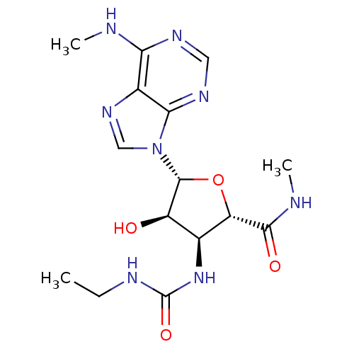 PNG