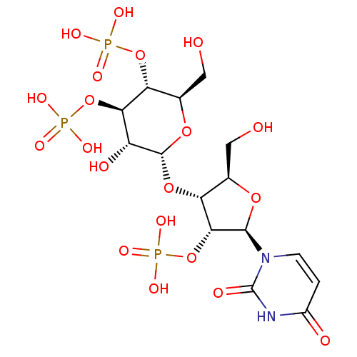 PNG
