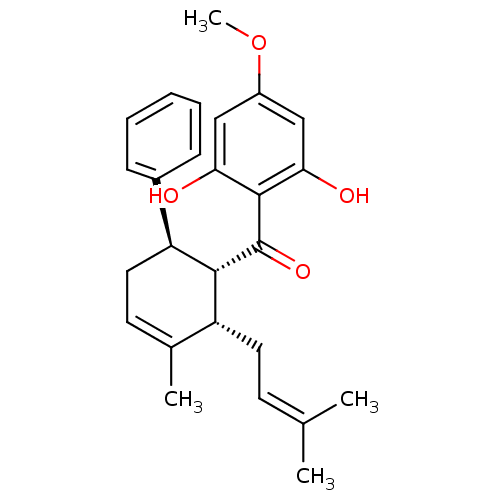 PNG