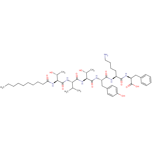 PNG