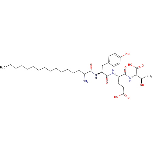 PNG