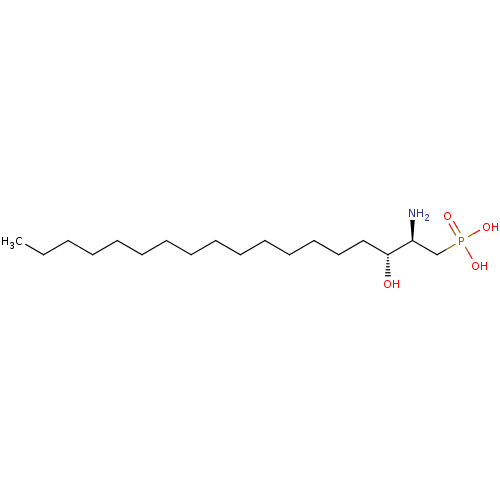 PNG
