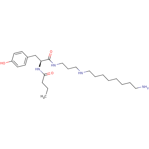 PNG