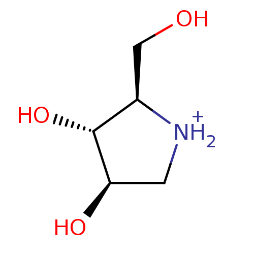 PNG