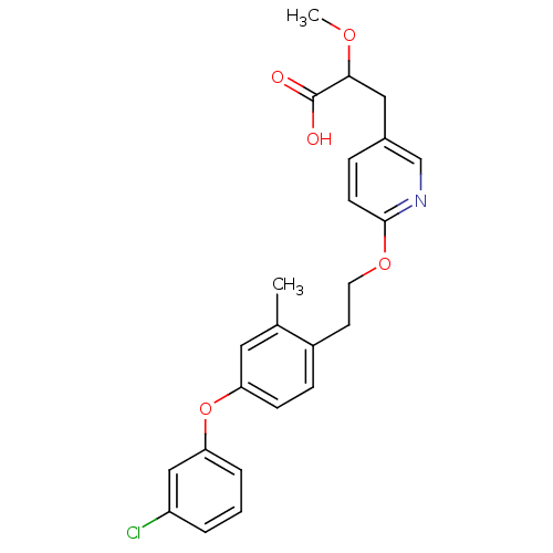 PNG