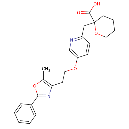 PNG
