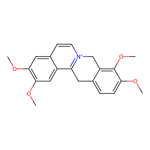 PNG