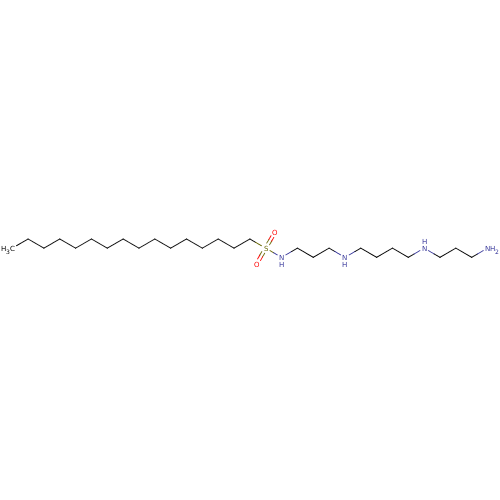 PNG