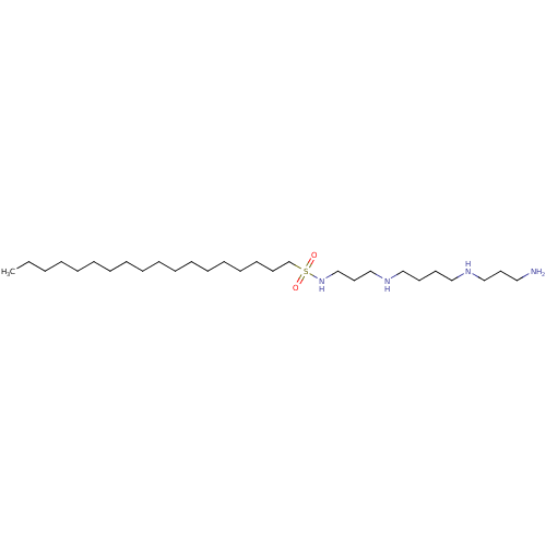 PNG