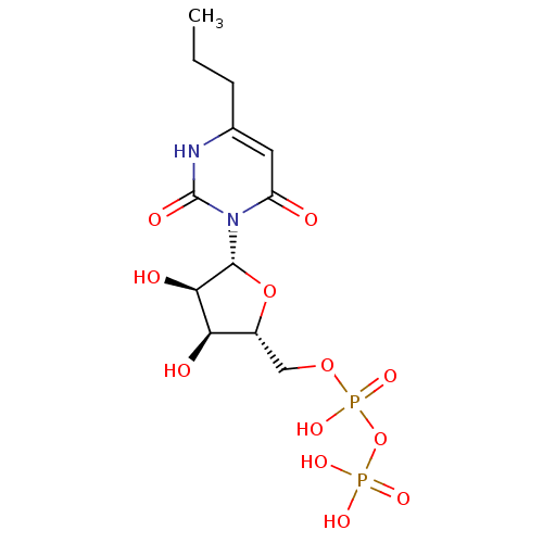 PNG