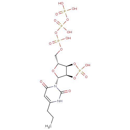 PNG