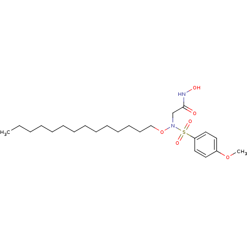 PNG