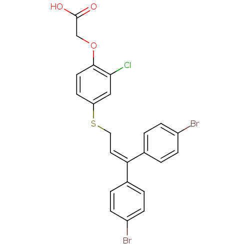 PNG