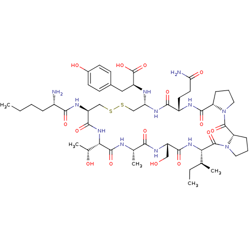 PNG