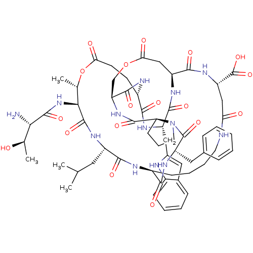 PNG