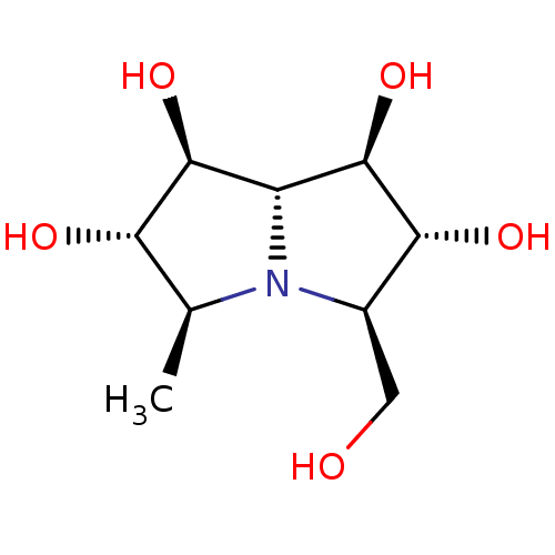 PNG