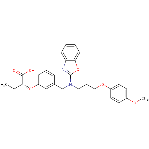 PNG