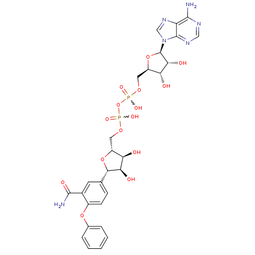 PNG