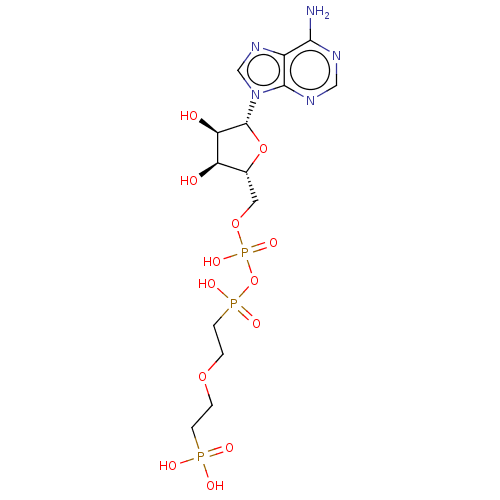 PNG