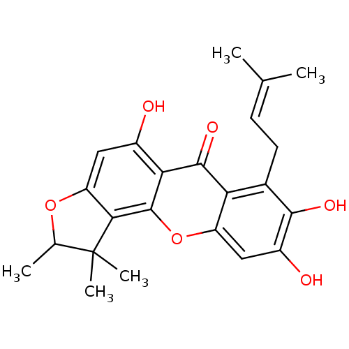 PNG