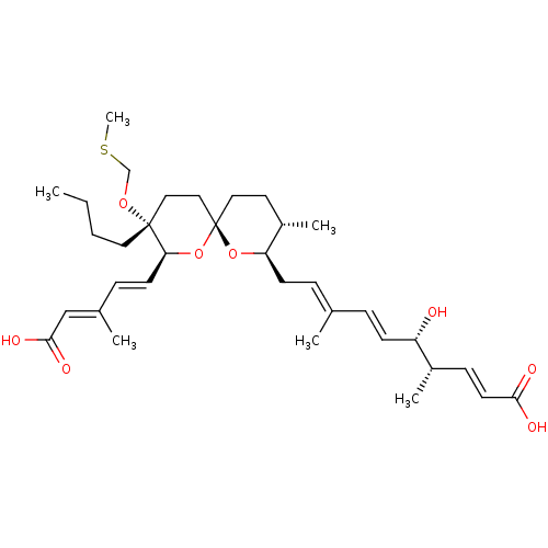 PNG