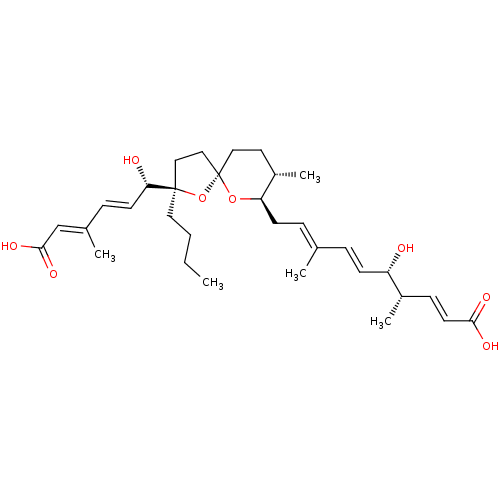 PNG