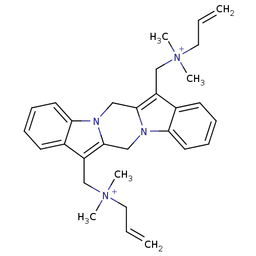 PNG