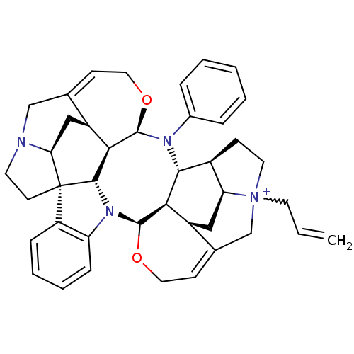 PNG