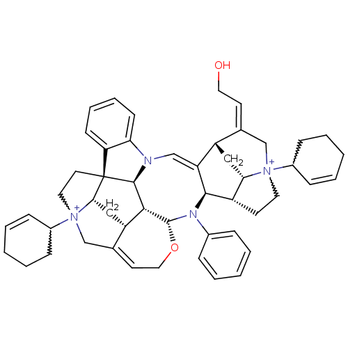 PNG