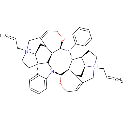 PNG