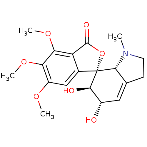 PNG