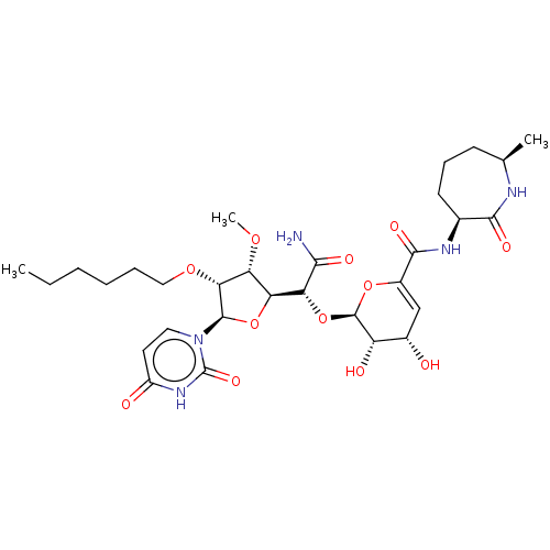 PNG