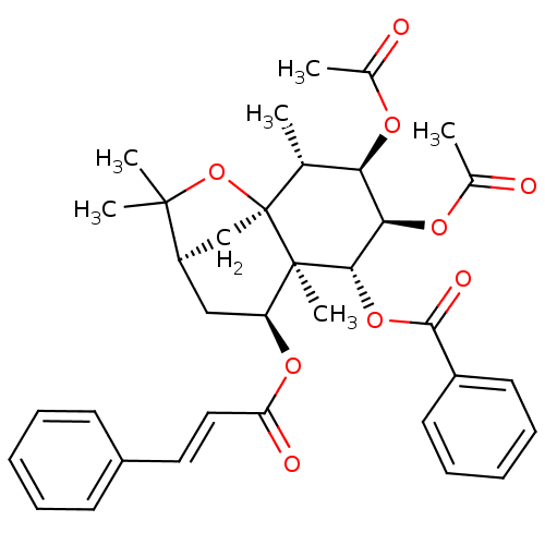 PNG