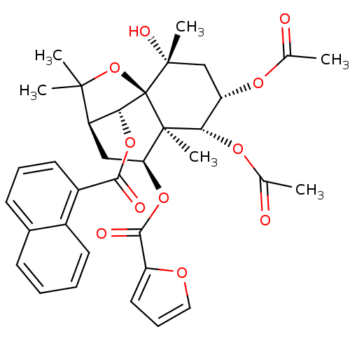 PNG