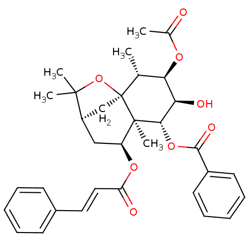 PNG