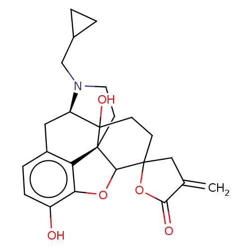 PNG